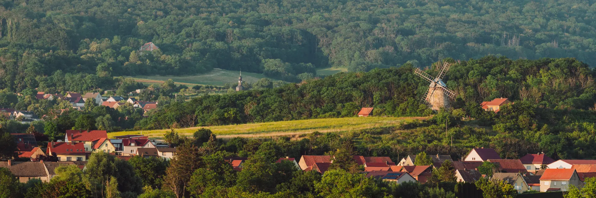 Panorama von Altenbeichlingen mit Turmwindmühle über den Feldern im warmen Abendlicht