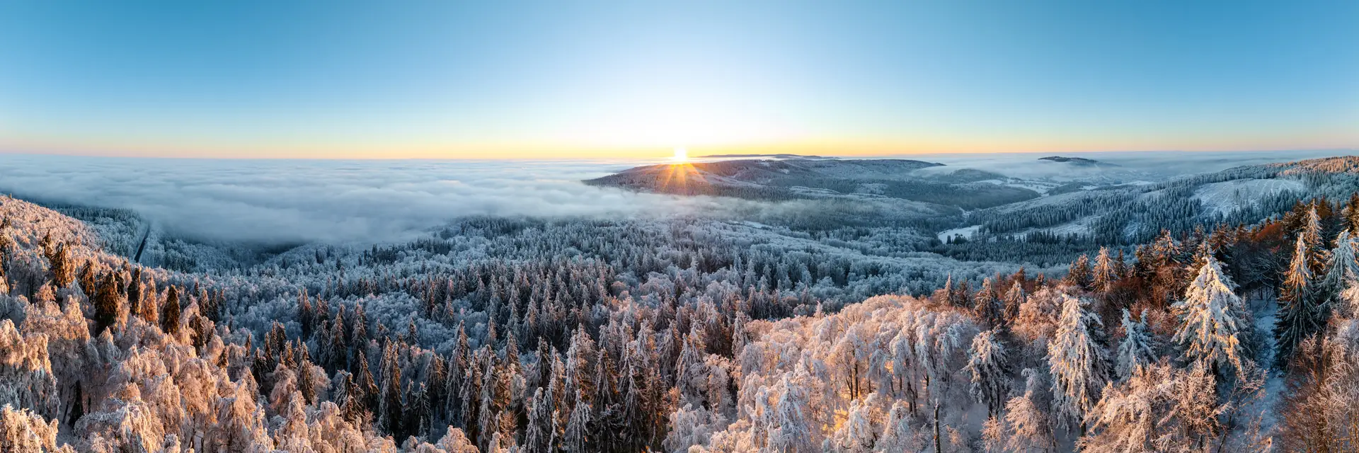 Raureif auf den Wäldern am Großen Inselsberg, Sonnenaufgang über dem Nebelmeer