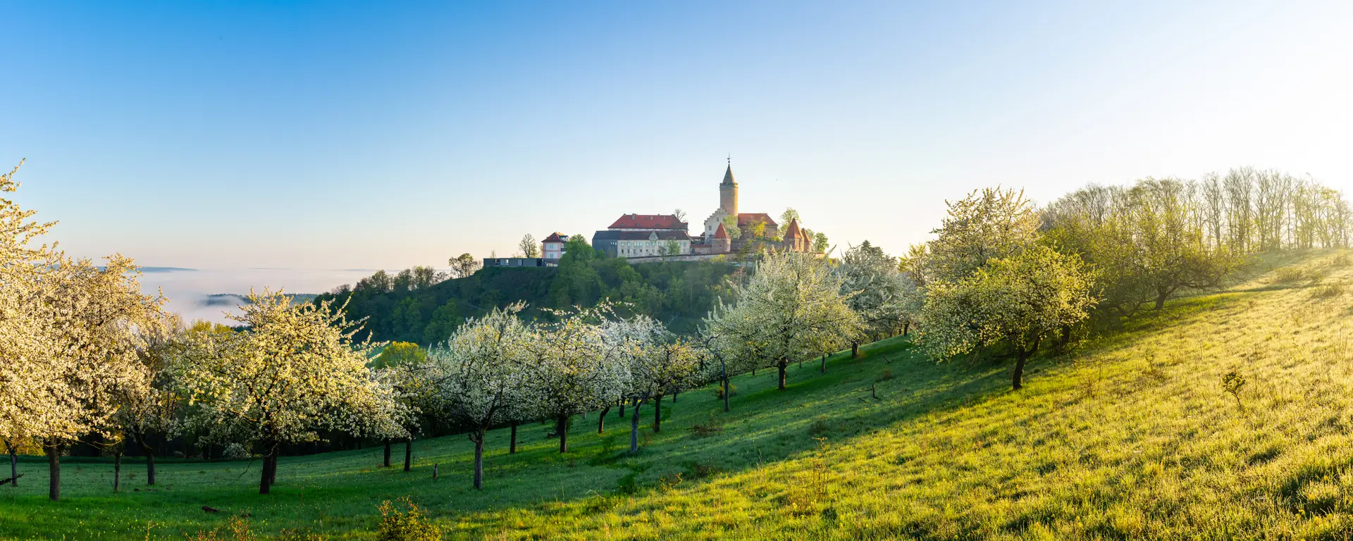 Leuchtenburg über einer blühenden Streuobstwiese im Frühling