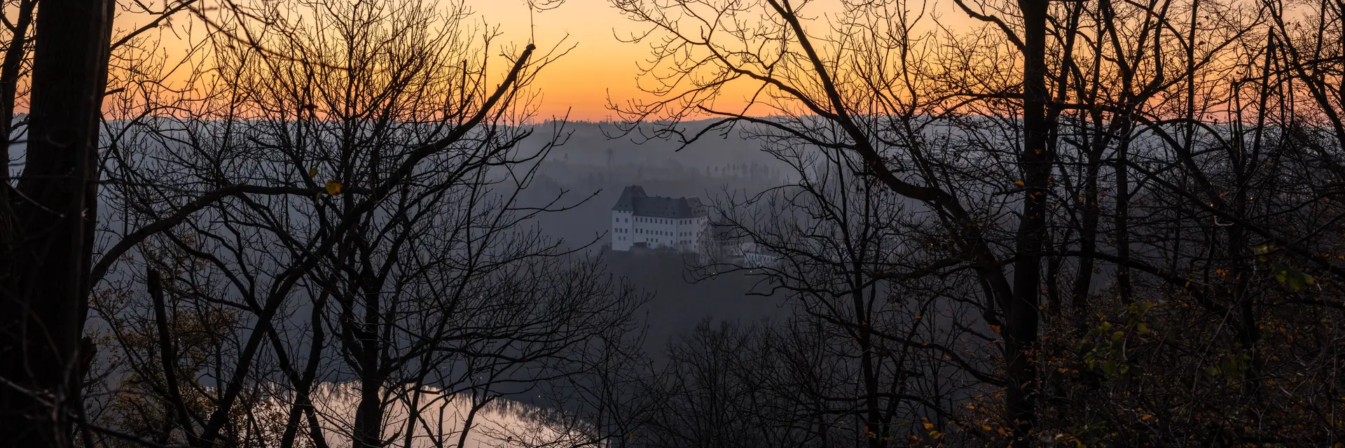 Schloss Burgk über dem nebligen Saaletal, kahle Bäume im Vordergrund
